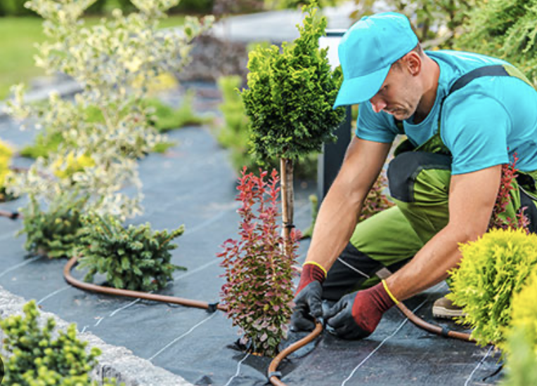 Landscaping campaign